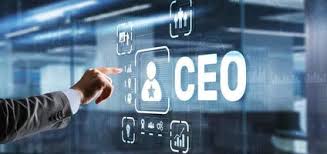 CEO Experience - Jacobus Nieuwenhuijze